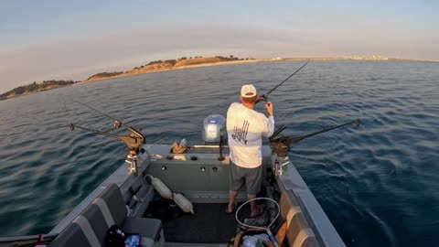 07-20-24 Folsom Lake, CA - King Salmon