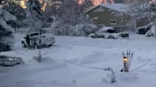 Spring snow storm... in Colorful Colorado..