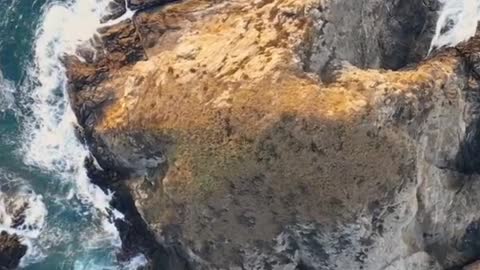 brown rock formation on body of water during daytime video