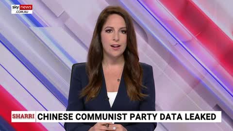 Major data leak reveals Chinese infiltration in USA government, business, media