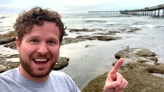 Ocean Beach Pier in San Diego, California