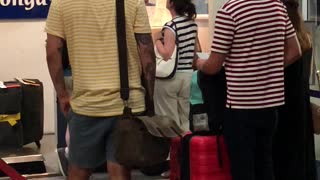 Chicken Lines up in Airport