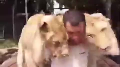 Watch this video animals hug humain