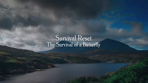 Survival Reset - A film by Amanda Eliasch