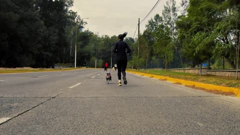 Female runner walks her dog