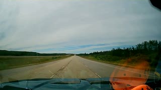 Bear Runs Across Highway in Front of Big Rig