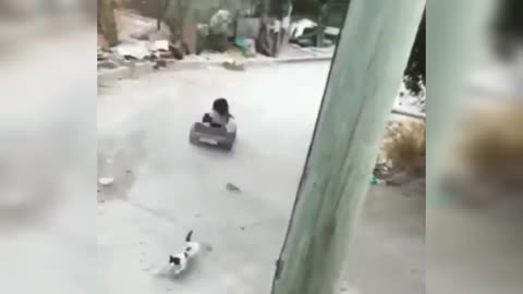 Niña al volante atropella un gato