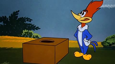 WOODY WOODPECKER - 085 - Watch the Birdie