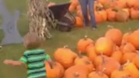 Kid Can´t Handle The Weight Of This Pumpkin