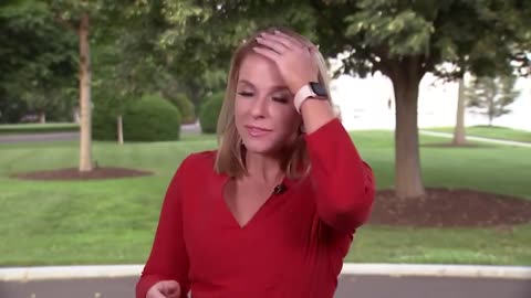 UNFLAPPABLE: Bird Lands on Head of Reporter Kellie Meyer in Middle of Live Shot