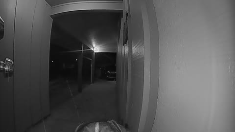 Dog Rings Doorbell To Be Let Inside