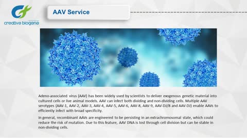 AAV Viral Service