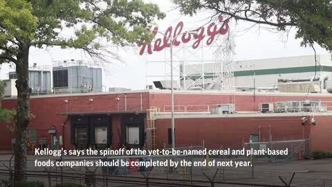 Kelloggs To Split Into Three Companies With A Focus On Plant-Based Meats