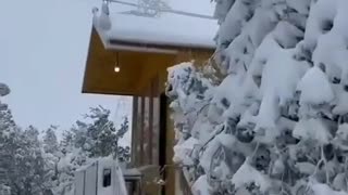 Snow in ajloun Jordan today