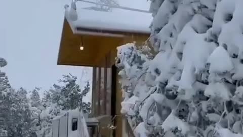 Snow in ajloun Jordan today