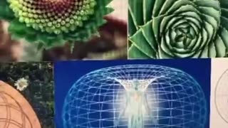 Toroidal field explained - like what we have on earth