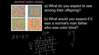 Color blindness: X chromosome linked inheritance
