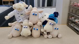 My "Special Sheep"