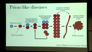 Can Mathematics Understand the Brain? - Prof. Alain Goriely, Oxford 2017