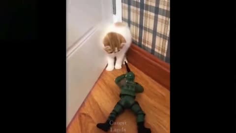 Robot army &cat fight and funny puppy barking doll