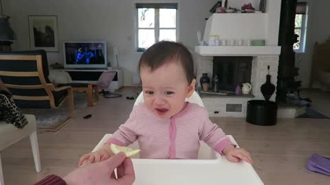 Baby vs lemon for the first time