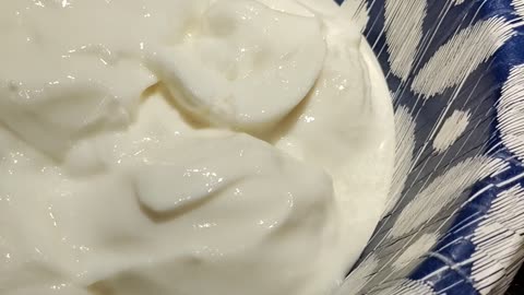 Eating Kroger Blended Vanilla Lowfat Yogurt, Dbn, MI, 11/1/23