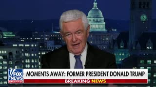 Gingrich: The American people are going to fire Biden