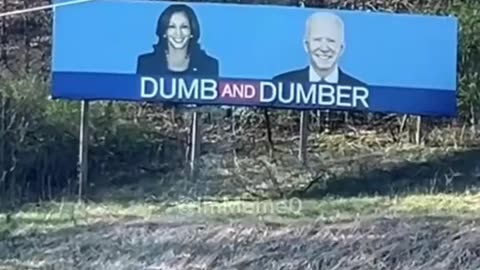 Dumb And Dumber