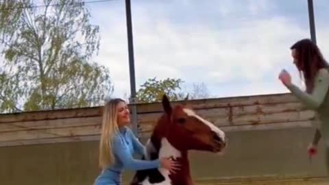 Respect For Horse | Horse Training