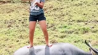 DANCE WITH CARABAO