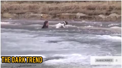 unbelievable animal rescues_Humanity saved dogs life