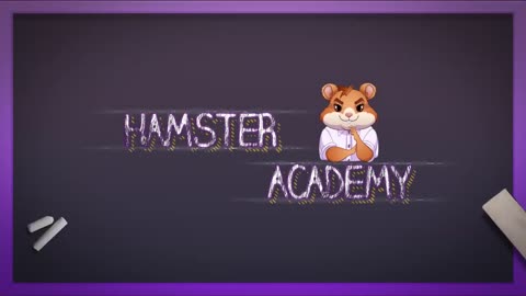 BITCOIN for Complete Beginners: Hamster Academy