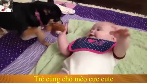 funny kids animals video