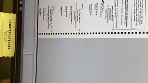 GA election supervisor Misty Martin commits voter fraud