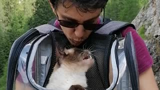 showing some love to my cat