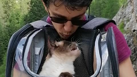showing some love to my cat