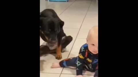 Funny Dog vs Cute Baby || Dog Act like Kid | Funniest act | Dog and Kid