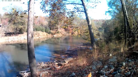 Saluda River Paddle Mile 128 to 113. Piedmont to Cooley Bridge