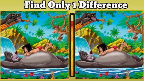 The Jungle Book - Find the difference