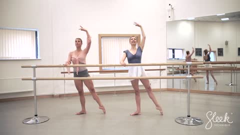 Prenatal & Postnatal Pregnancy Ballet Barre Workout Sleek Technique