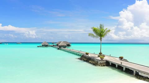 Long wooden pier on a paradisiacal beach