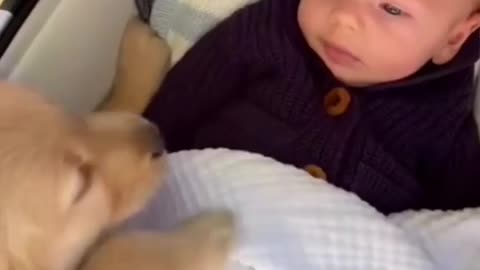 Baby sleeps with a dog