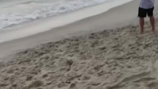 Man catches sea monster from beach