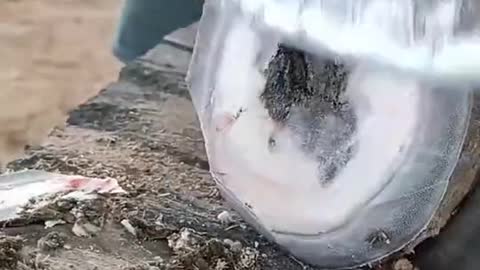 How to clean horseshoe , this is amazing