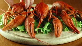 Lobsters on a lettuce bed