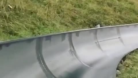 Swiss Alps Toboggan Ride