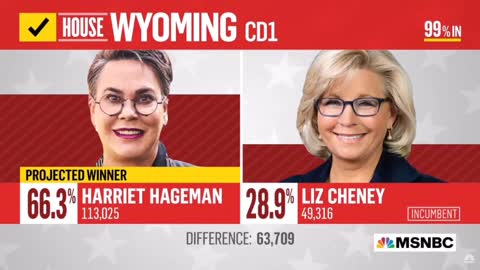 MSDNC gives the most insane cope after Liz Cheney's resounding loss