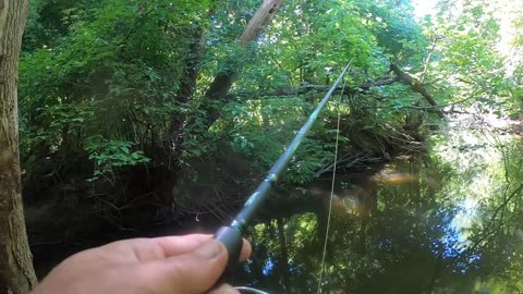 Fishing my Secret Hole