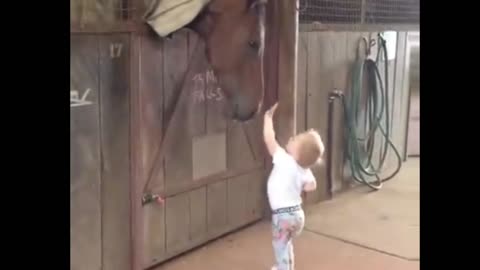 Little Girl Greets Horse Friends Every Morning 😍☺️🐴