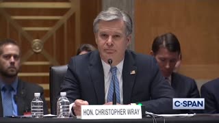 FBI's Christopher Wray Can't Answer Basic Questions Surrounding His Agency's Election Interference